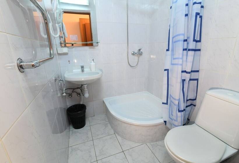 Standard Enkelrum, Aviator Sheremetyevo