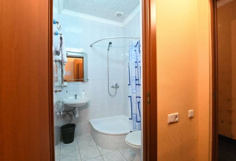 Standard Enkelrum, Aviator Sheremetyevo