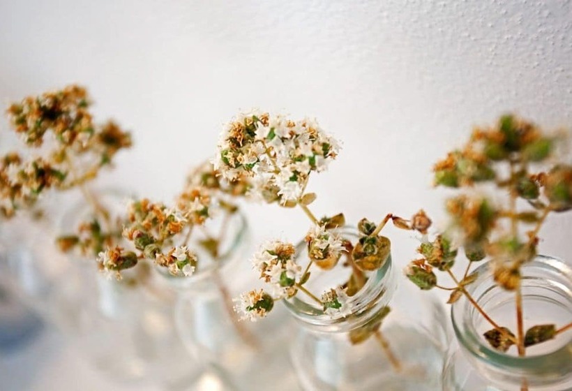 غرفة بريميوم مطلّة علي البحر, Calme Boutique Hotel Adults Only