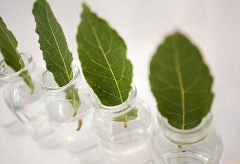 غرفة قياسية مطلّة علي البحر, Calme Boutique Hotel Adults Only