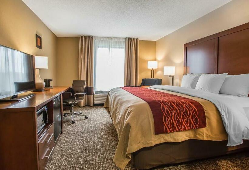 Стандартный Номер Кровать Кинг, Comfort Inn Pa Turnpike  I81