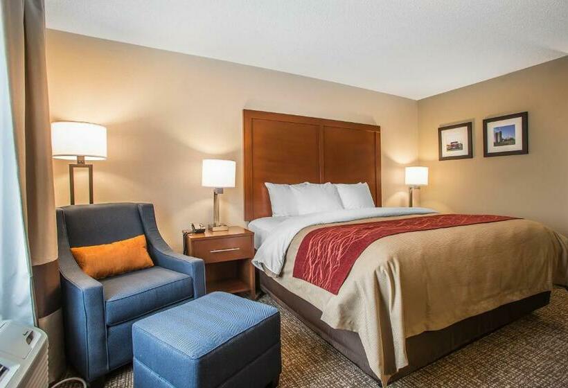 Стандартный Номер Кровать Кинг, Comfort Inn Pa Turnpike  I81