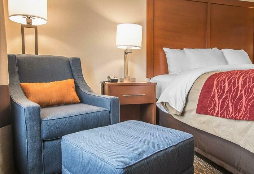 Стандартный Номер Кровать Кинг, Comfort Inn Pa Turnpike  I81