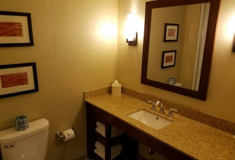 Номер Стандарт Адаптированный для Инвалидов, Comfort Inn Pa Turnpike  I81