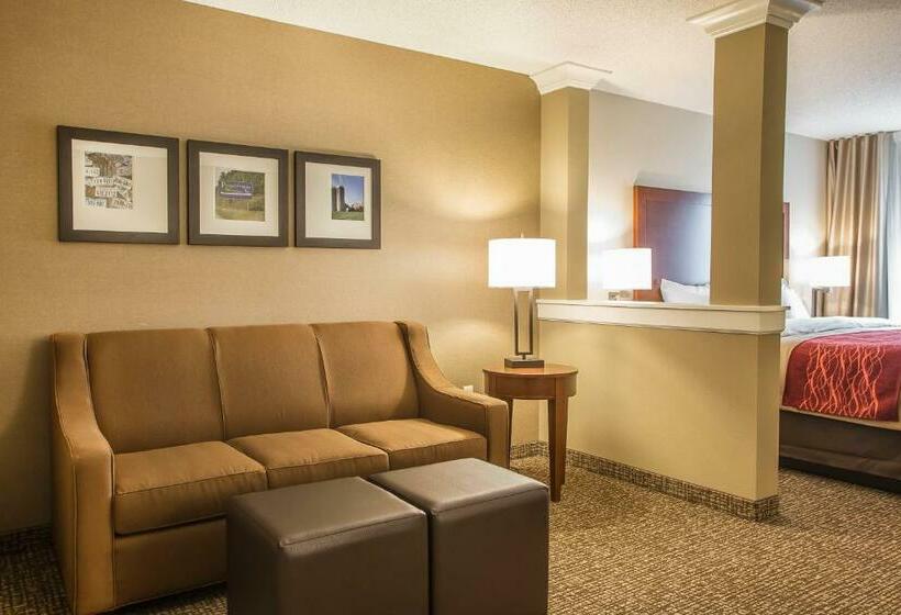 Люкс Кровать Кинг, Comfort Inn Pa Turnpike  I81