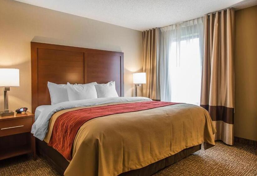 Люкс Кровать Кинг, Comfort Inn Pa Turnpike  I81