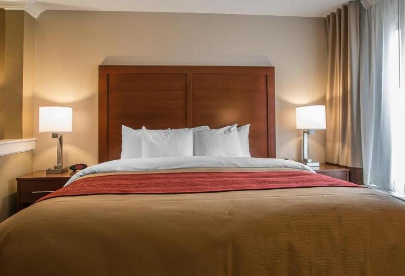 Люкс Кровать Кинг, Comfort Inn Pa Turnpike  I81