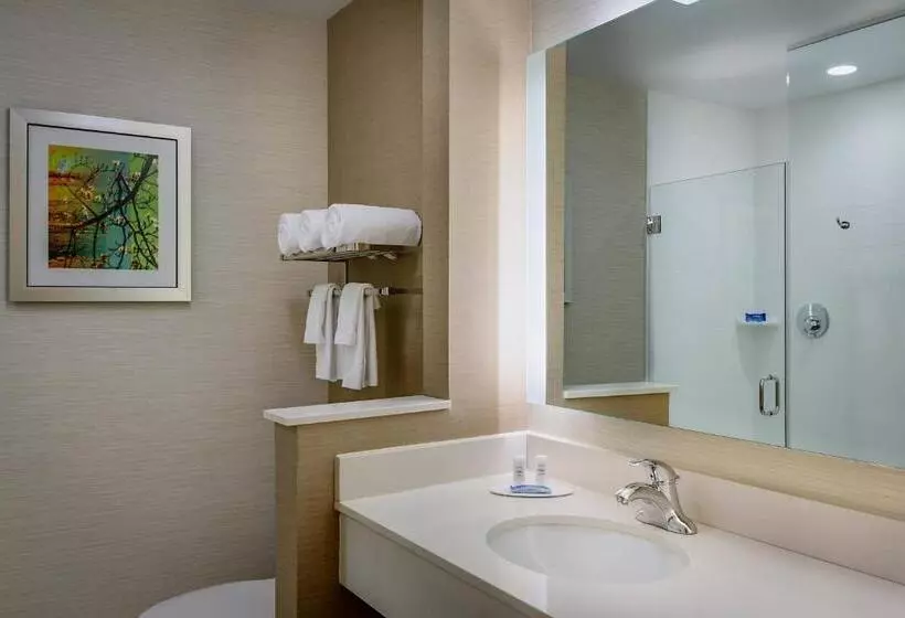 キングサイズベッドのスタンダードルーム, Fairfield Inn & Suites By Marriott Dallas West/i 30