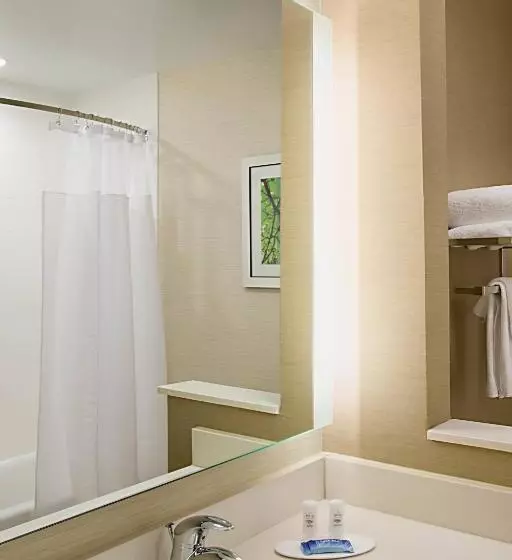 スタンダードルーム, Fairfield Inn & Suites By Marriott Dallas West/i 30