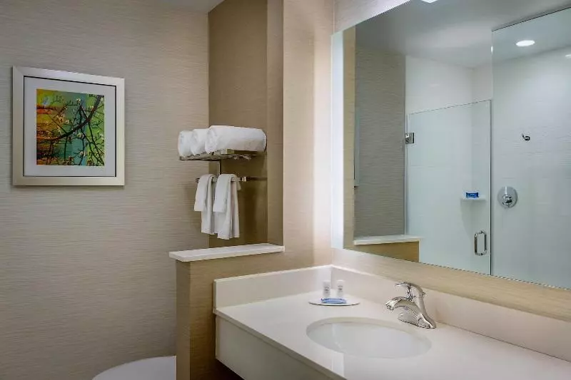 キングサイズベッドのスタンダードルーム, Fairfield Inn & Suites By Marriott Dallas West/i 30