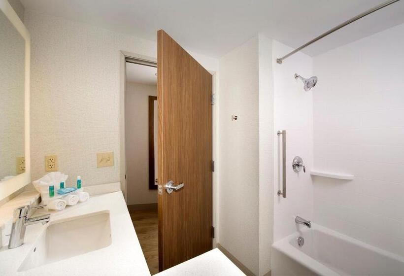 스탠다드 룸, Holiday Inn Express & Suites By Ihg Altoona, An Ihg