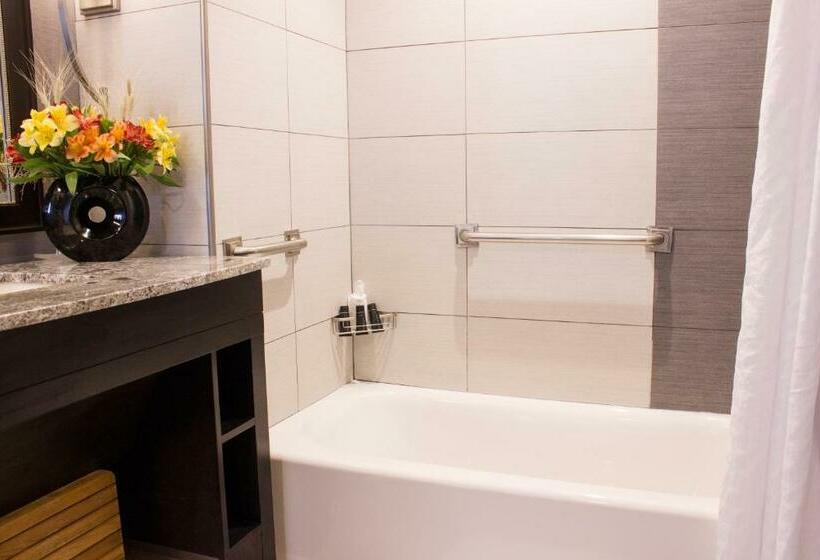 스탠다드 룸, Saratoga Casino