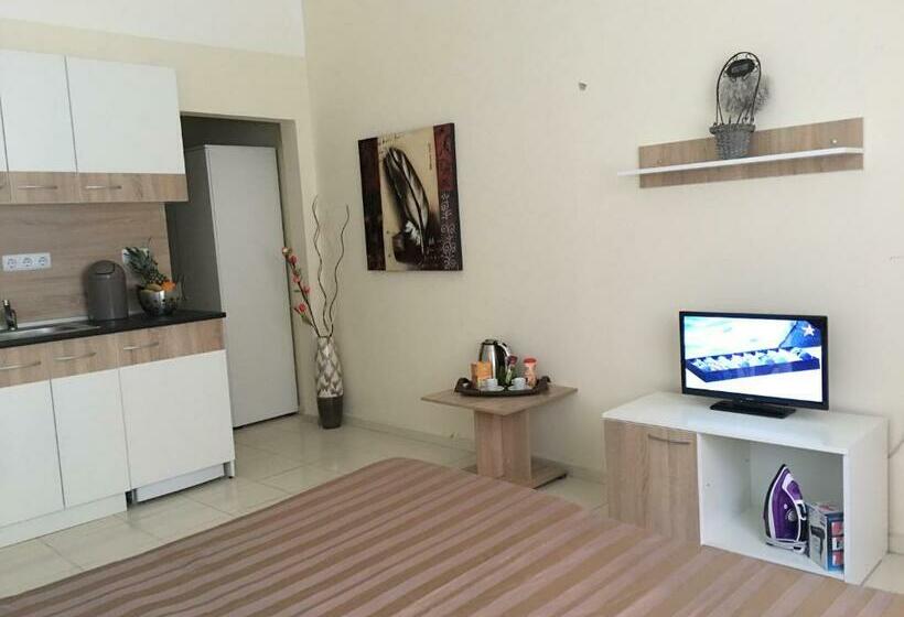 اتاق استاندارد, Apart Hotel Salt Lake