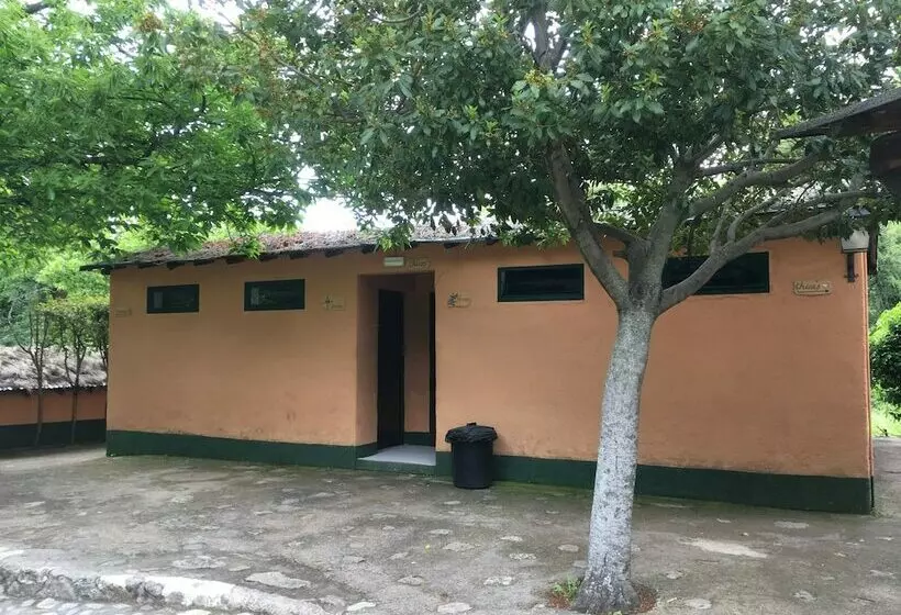 تختخواب در اتاق مشترک, Albergue Turistico Valle Del Ambroz