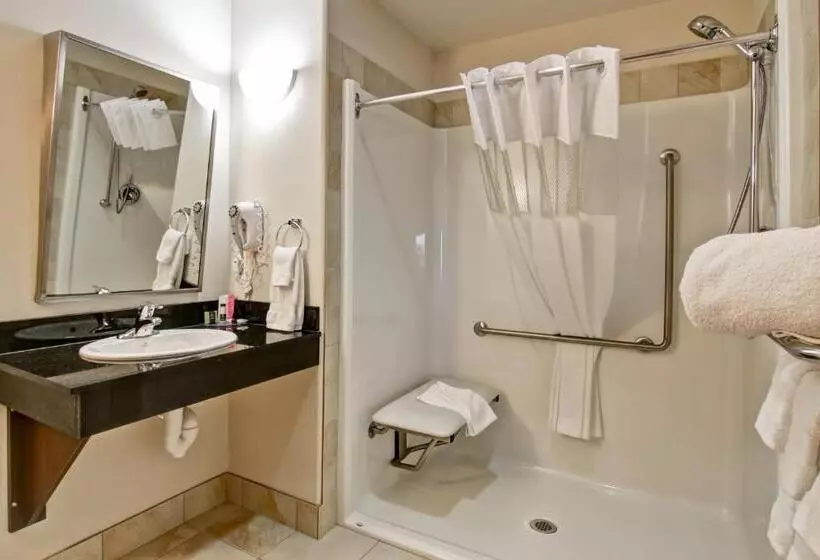 身障者適用キングサイズベッドルーム, Canalta Hotel Tisdale