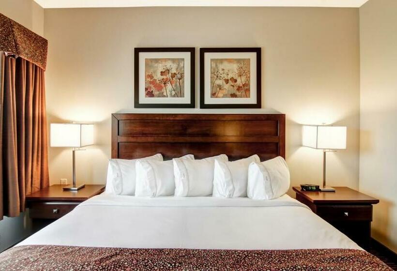 身障者適用キングサイズベッドルーム, Canalta Hotel Tisdale