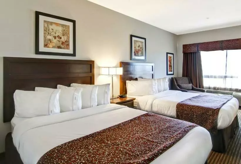 スタンダードルーム, Canalta Hotel Tisdale