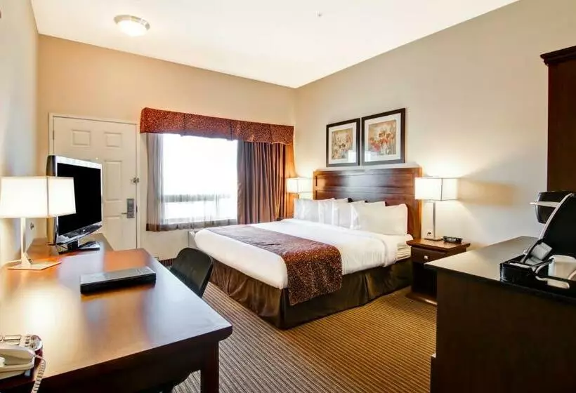 身障者適用キングサイズベッドルーム, Canalta Hotel Tisdale