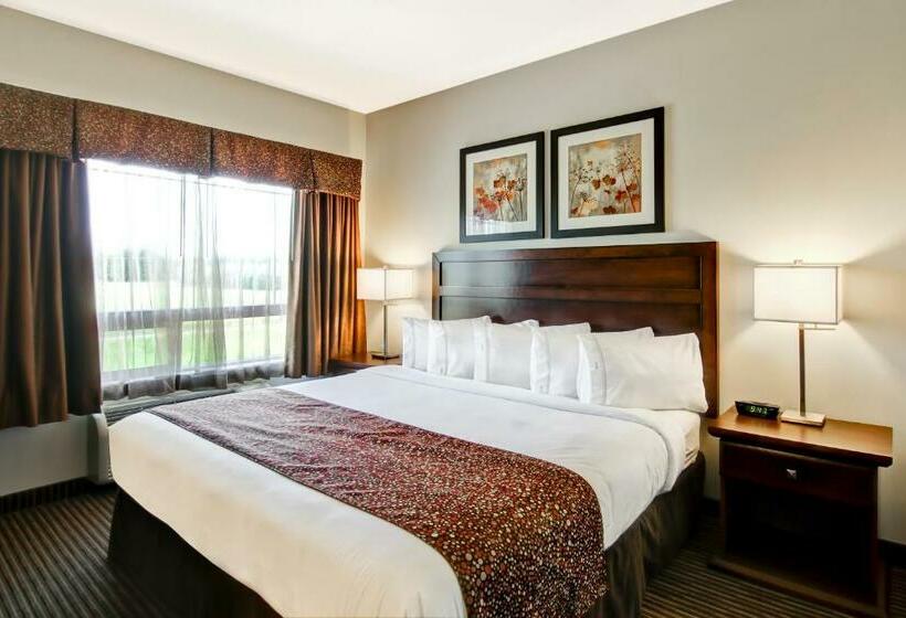 חדר סטנדרט עם מיטת קינג, Canalta Hotel Tisdale