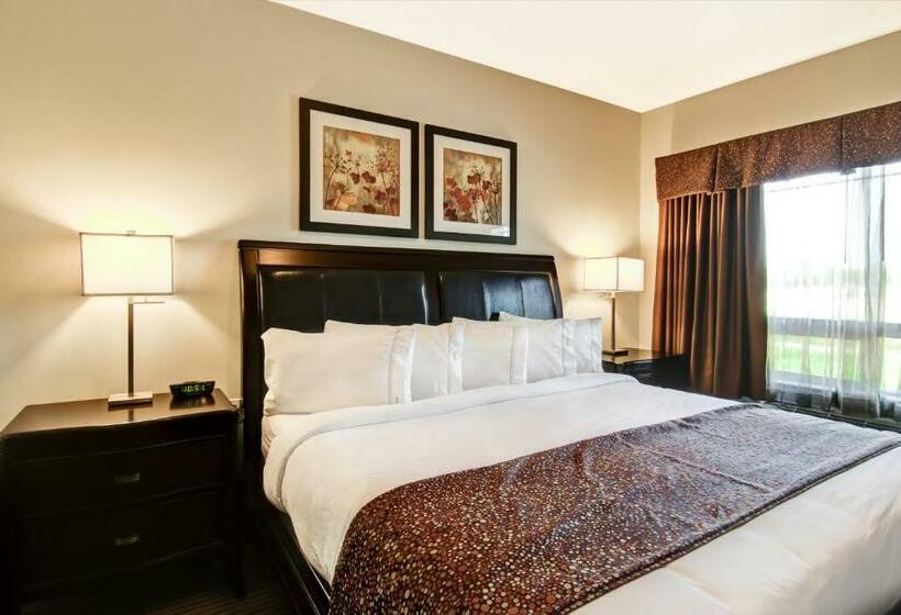 חדר סטנדרט עם מיטת קינג, Canalta Hotel Tisdale