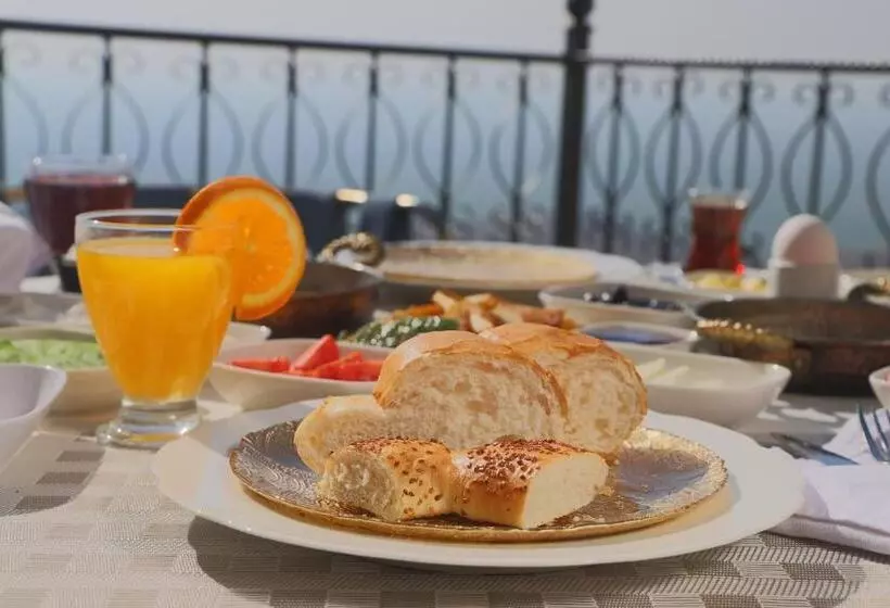 اتاق لوکس با تراس, Dara Konağı
