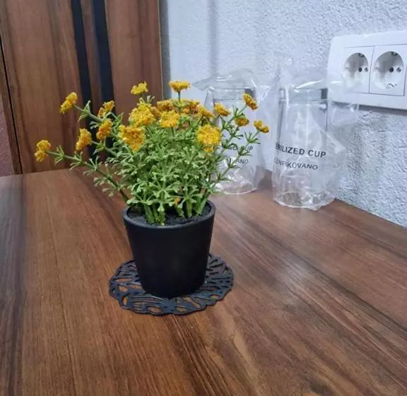 اتاق استاندارد یک نفره, Djerdan