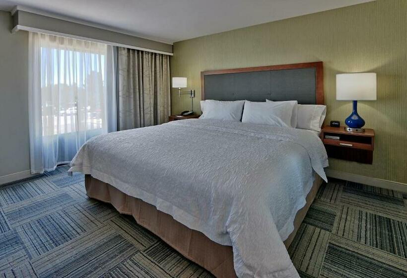 适合残疾人士使用的带超级大床的标准间, Hampton Inn & Suites Las Cruces I10