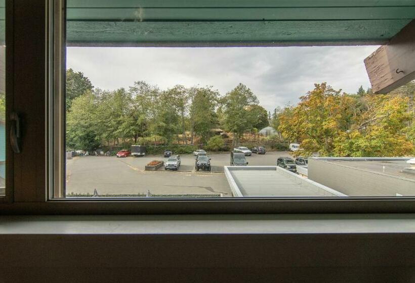 Deluxe Zimmer, Harbour House