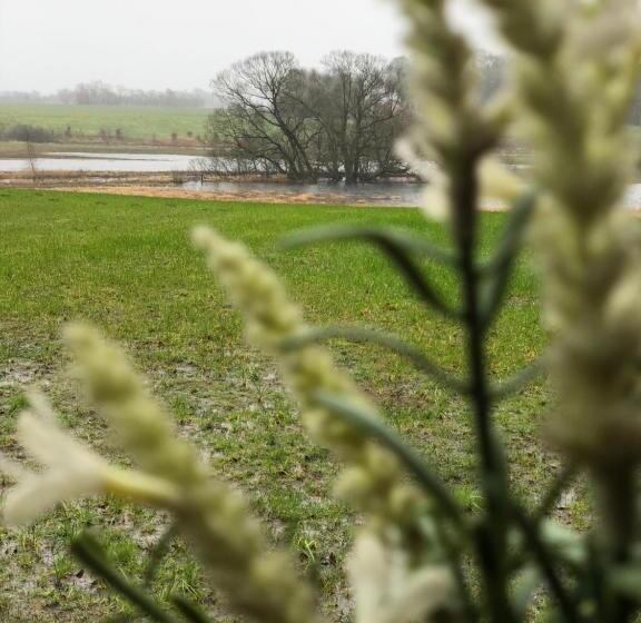 Suite met Uitzicht op de Rivier, Hodde Kro