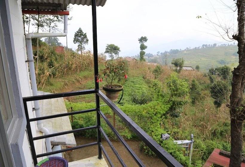 اتاق خانوادگی, Mount Paradise