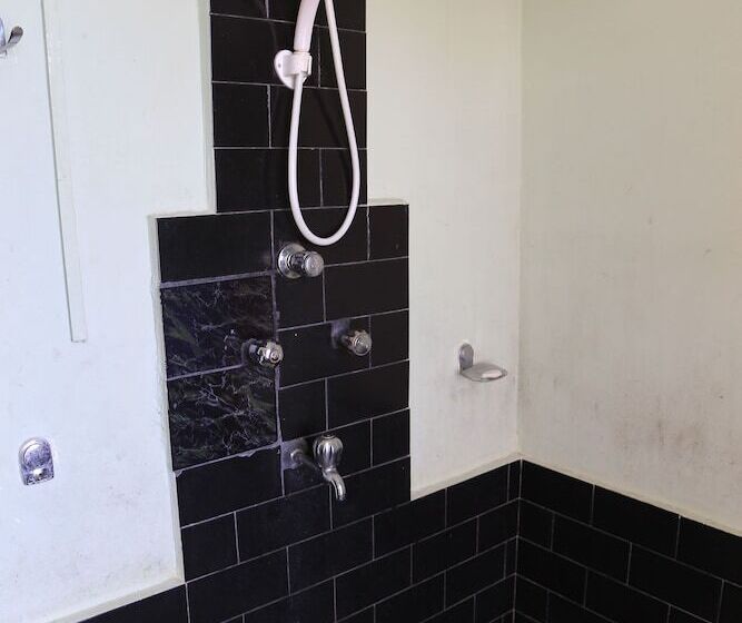 اتاق استاندارد با سرویس بهداشتی مشترک, Mount Paradise