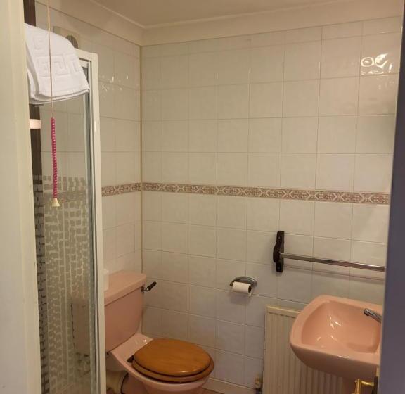 Номер Deluxe, All Seasons Gatwick Guest House & Parking