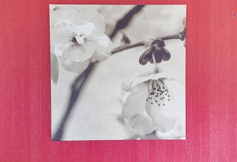 패밀리 룸, Sakura Guest House