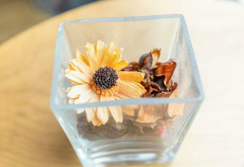 스탠다드 룸, Sakura Guest House