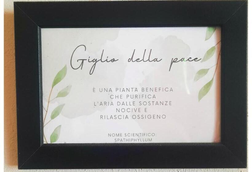 غرفة قياسية, La Casina