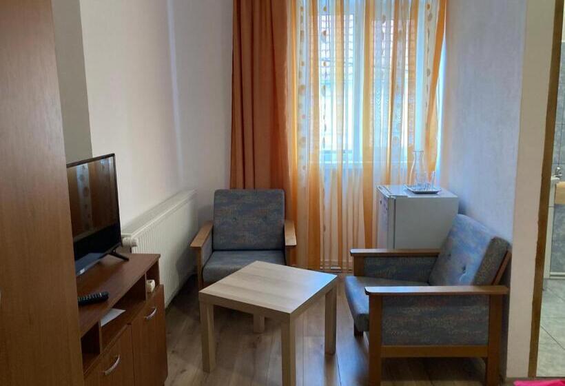 غرفة قياسية, , La Maison Concordia