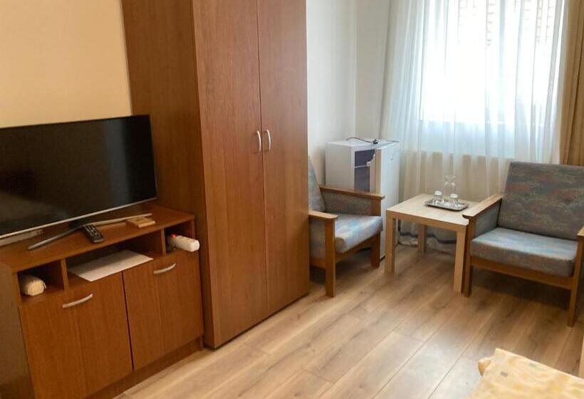 غرفة قياسية, , La Maison Concordia