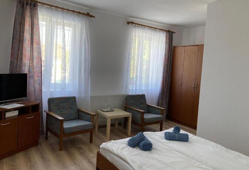 غرفة قياسية, , La Maison Concordia