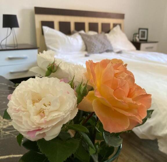 스탠다드 룸, Kancsal Harcsa Panzió és Halászcsárda