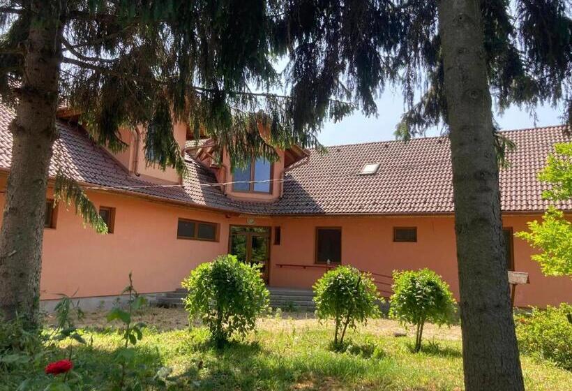 스탠다드 룸, Kancsal Harcsa Panzió és Halászcsárda