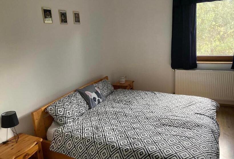 스탠다드 룸, Kancsal Harcsa Panzió és Halászcsárda