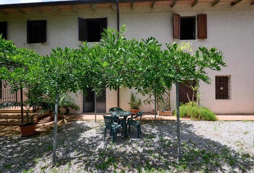 דירת חדר סופריור, Antichi Palmenti   Alloro