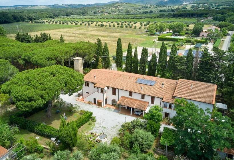 דירת חדר סופריור, Antichi Palmenti   Alloro