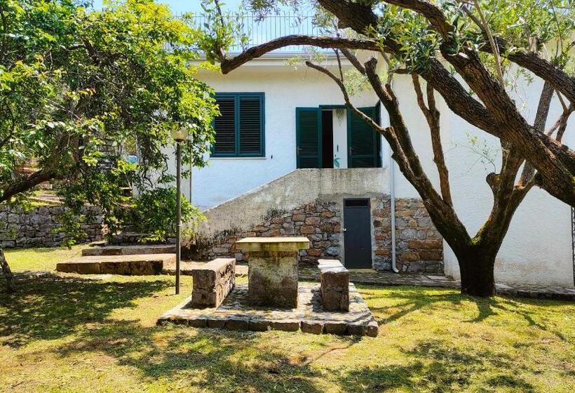 اتاق دوبلکس, Villa Irma