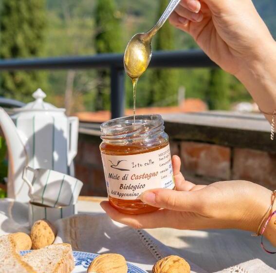 Апартаменты 1 Спальня Нижний Этаж, Agriturismo Irto Colle