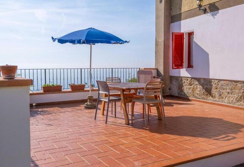 Апартаменты 1 Спальня Нижний Этаж, Agriturismo Irto Colle