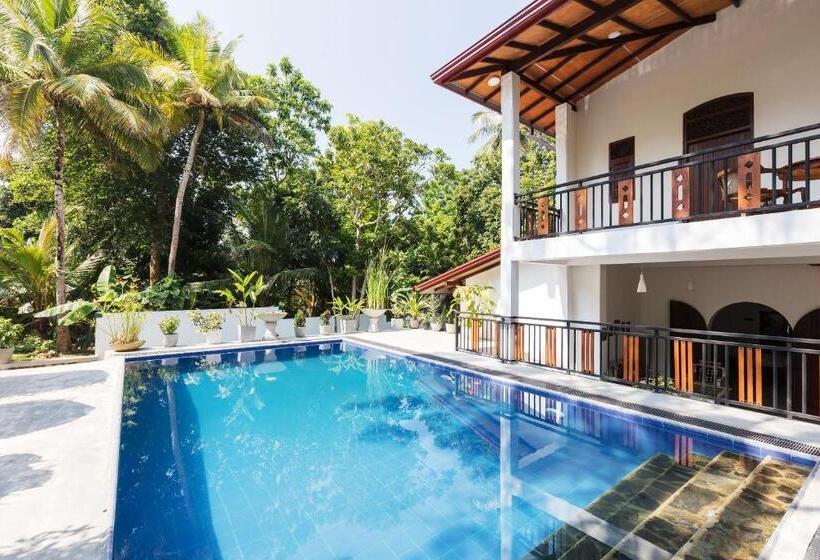 غرفة ديلوكس, Nos Da Ty