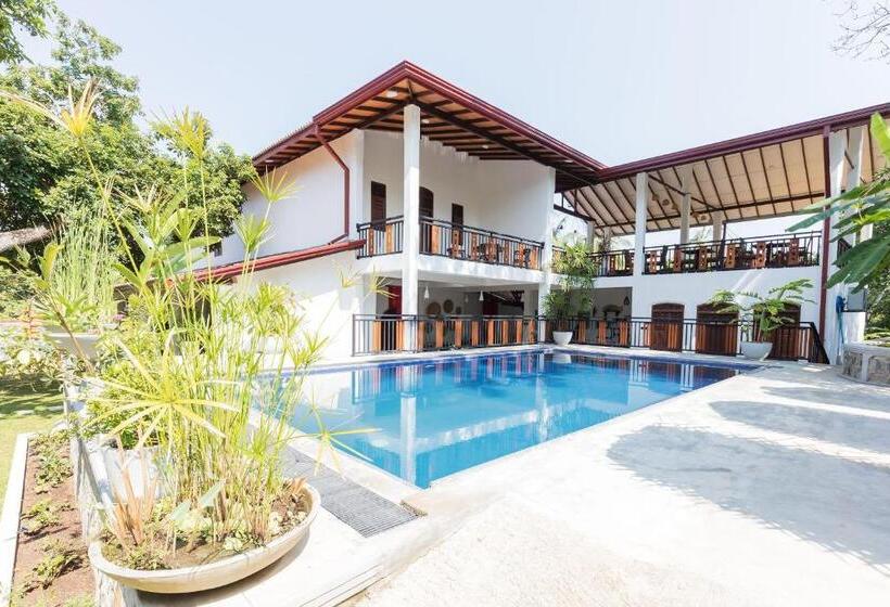 غرفة ديلوكس, Nos Da Ty