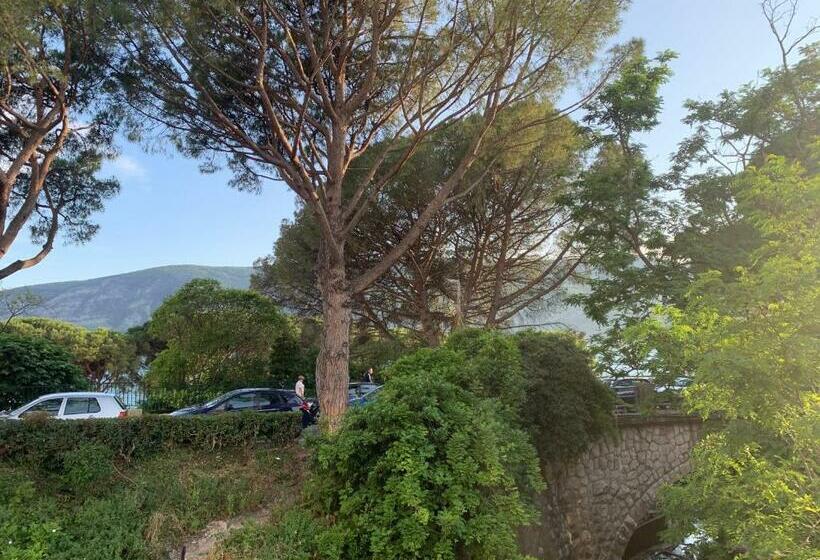 آپارتمان 1 خوابه با چشمانداز دریا, Srce Hercega