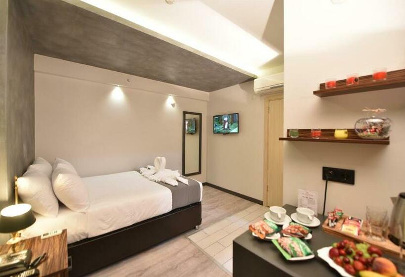 חדר סטנדרט יחיד, Sunflower Otel